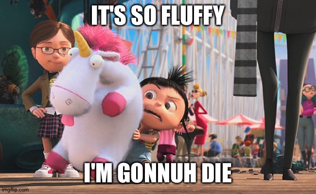 It’s so fluffy | IT'S SO FLUFFY I'M GONNUH DIE | image tagged in it s so fluffy | made w/ Imgflip meme maker