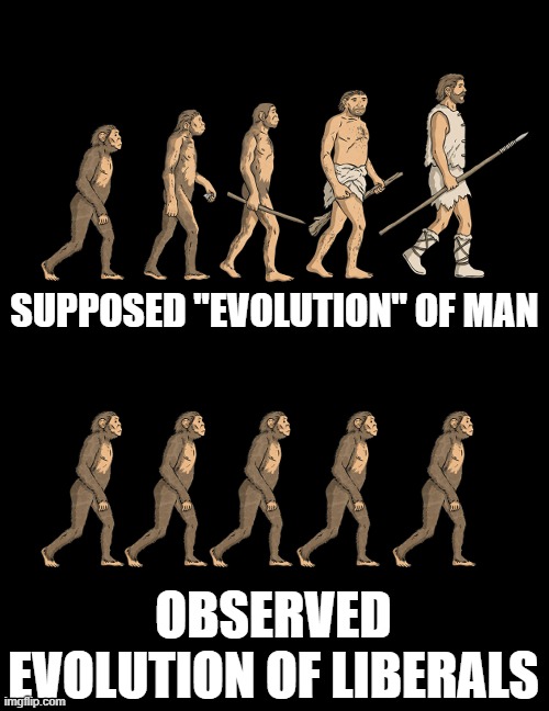 The facts speak for themselves.  Now more loudly than ever. | SUPPOSED "EVOLUTION" OF MAN; OBSERVED EVOLUTION OF LIBERALS | image tagged in liberals,evolution,human evolution | made w/ Imgflip meme maker