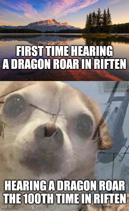 FIRST TIME HEARING A DRAGON ROAR IN RIFTEN; HEARING A DRAGON ROAR THE 100TH TIME IN RIFTEN | image tagged in serene,vietnam dog flashbacks | made w/ Imgflip meme maker