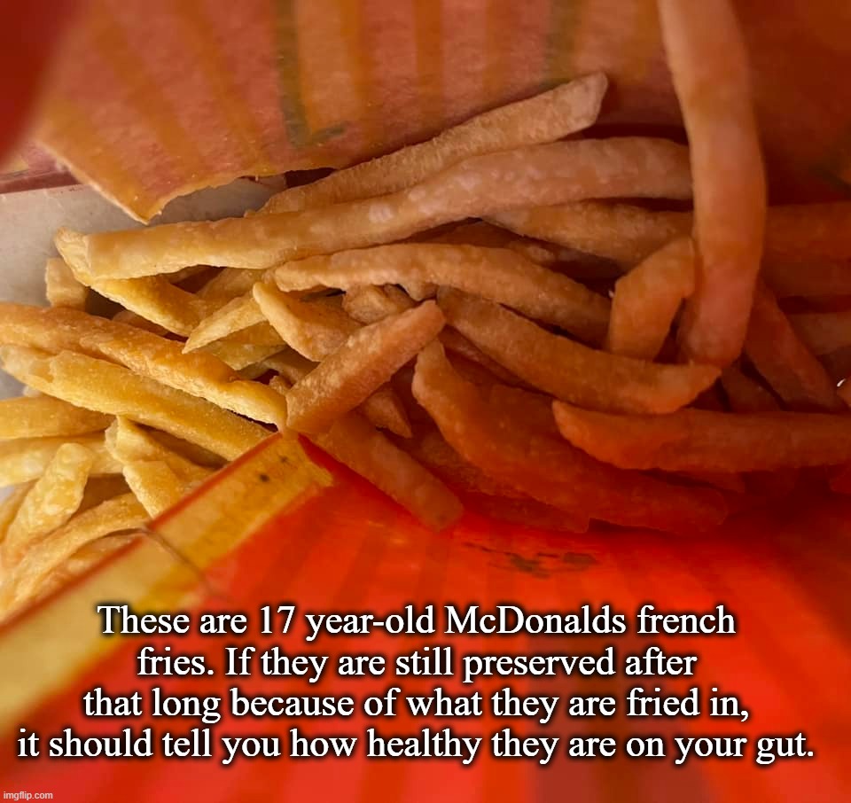 Make French Fries Great Again! | These are 17 year-old McDonalds french fries. If they are still preserved after that long because of what they are fried in, it should tell you how healthy they are on your gut. | image tagged in mcdonalds,french fries,fast food,unhealthy,junk food,the more you know | made w/ Imgflip meme maker