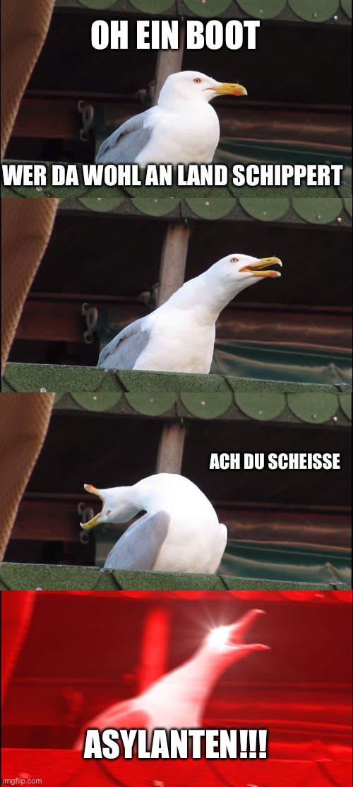 Possibly racist | OH EIN BOOT; WER DA WOHL AN LAND SCHIPPERT; ACH DU SCHEISSE; ASYLANTEN!!! | image tagged in memes,inhaling seagull | made w/ Imgflip meme maker