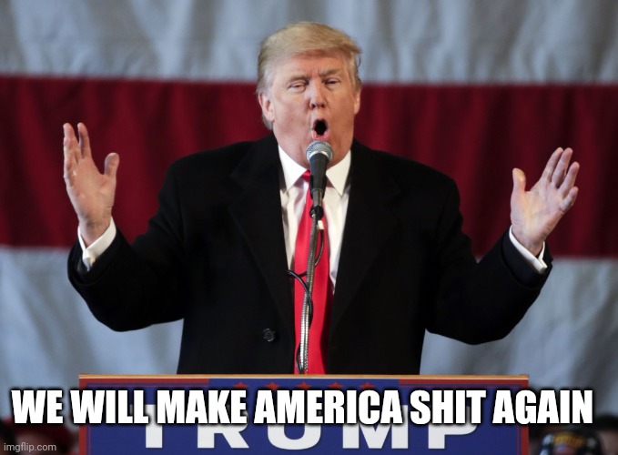 Make america great again | WE WILL MAKE AMERICA SHIT AGAIN | image tagged in make america great again | made w/ Imgflip meme maker