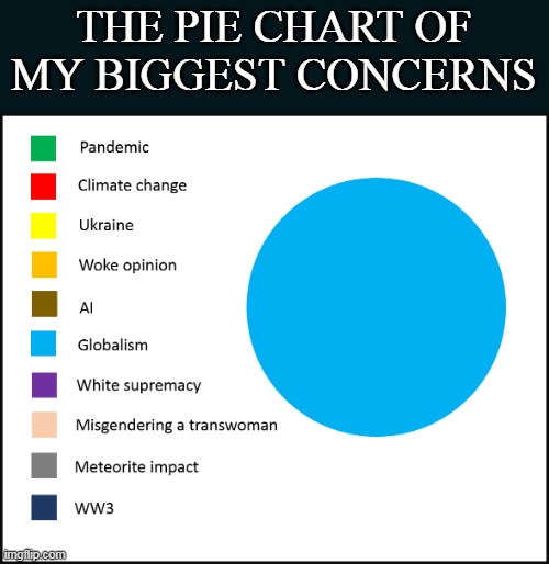 THE PIE CHART OF MY BIGGEST CONCERNS | image tagged in globalism | made w/ Imgflip meme maker