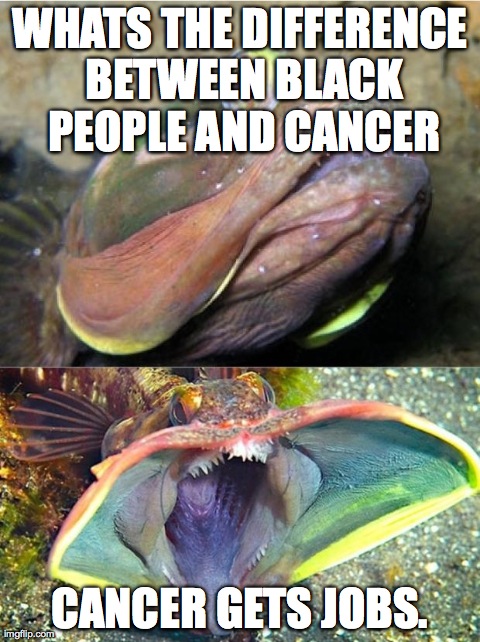 WHATS THE DIFFERENCE BETWEEN BLACK PEOPLE AND CANCER CANCER GETS JOBS. | image tagged in foul joke frillhead,AdviceAnimals | made w/ Imgflip meme maker