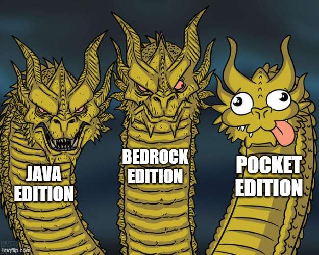 The odd one out | BEDROCK EDITION; POCKET EDITION; JAVA EDITION | image tagged in three-headed dragon,minecraft,gaming | made w/ Imgflip meme maker