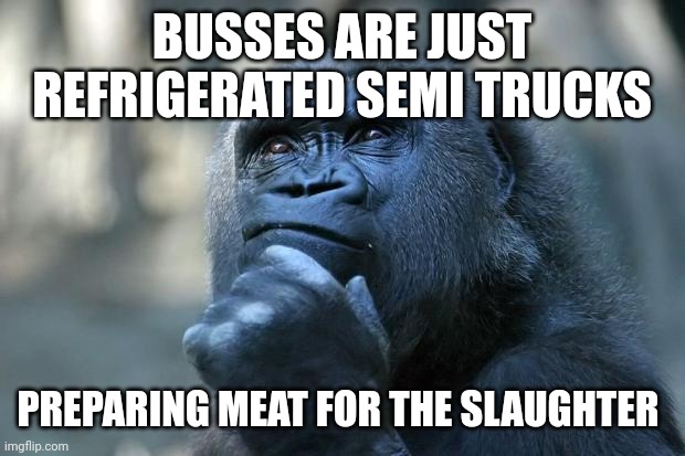 Elongated semi trucks | BUSSES ARE JUST REFRIGERATED SEMI TRUCKS; PREPARING MEAT FOR THE SLAUGHTER | image tagged in deep thoughts | made w/ Imgflip meme maker