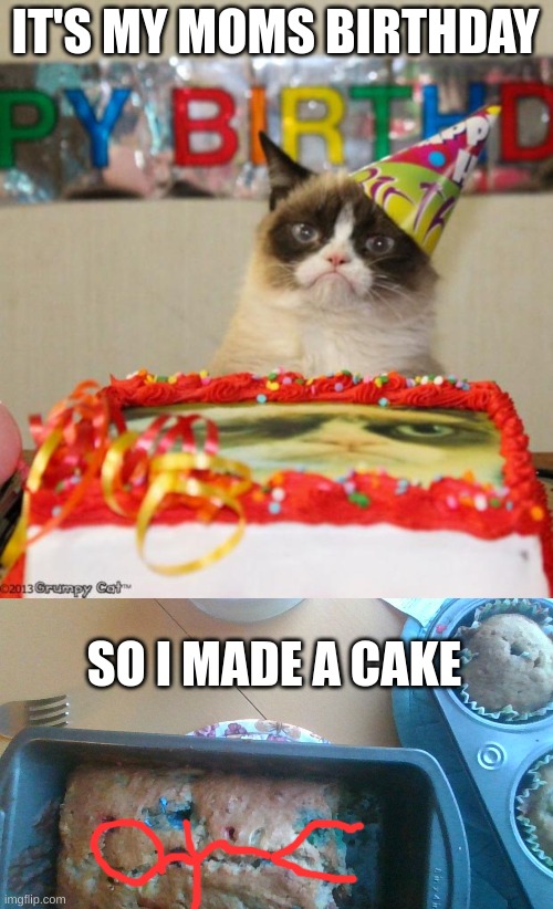 well, its banana bread but i maed it myself | IT'S MY MOMS BIRTHDAY; SO I MADE A CAKE | image tagged in memes,birthday mom | made w/ Imgflip meme maker