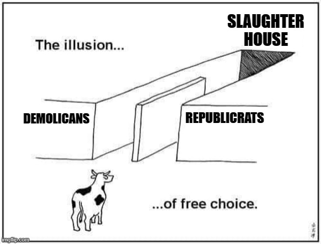 slaughterhouse | SLAUGHTER
HOUSE; DEMOLICANS; REPUBLICRATS | image tagged in scumbag republicans,scumbag democrats,scumbags,politicians | made w/ Imgflip meme maker