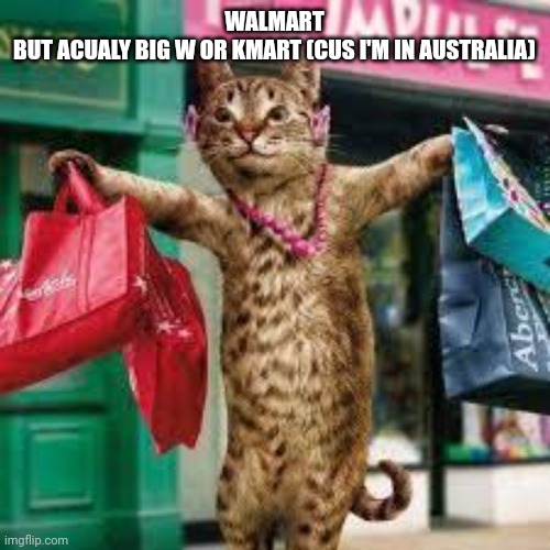 Cat shopping | WALMART
BUT ACUALY BIG W OR KMART (CUS I'M IN AUSTRALIA) | image tagged in cat shopping | made w/ Imgflip meme maker