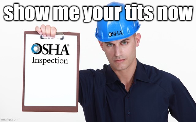 OSHA inspection | show me your tits now | image tagged in osha inspection | made w/ Imgflip meme maker