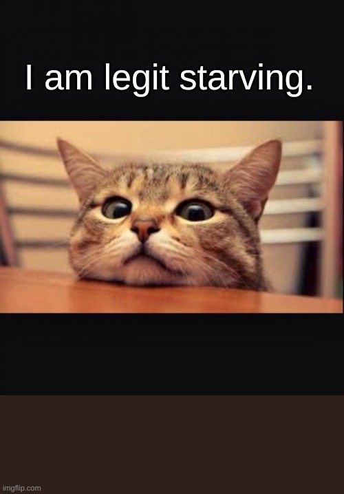 Hungry | I am legit starving. | image tagged in hungry | made w/ Imgflip meme maker