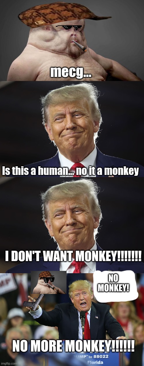 IT IS NOT POLITICAL!!!!! | mecg... Is this a human... no it a monkey; I DON'T WANT MONKEY!!!!!!! NO
MONKEY! NO MORE MONKEY!!!!!! | image tagged in memes | made w/ Imgflip meme maker