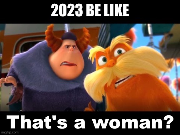 2023 be like | 2023 BE LIKE | image tagged in that's a woman | made w/ Imgflip meme maker