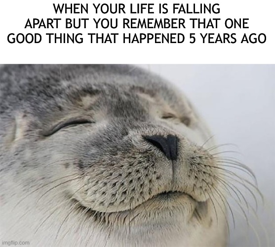 Definitely not writing about my life, no no, why would you think that? | WHEN YOUR LIFE IS FALLING APART BUT YOU REMEMBER THAT ONE GOOD THING THAT HAPPENED 5 YEARS AGO | image tagged in memes,satisfied seal | made w/ Imgflip meme maker