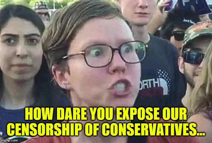 Triggered Liberal | HOW DARE YOU EXPOSE OUR CENSORSHIP OF CONSERVATIVES... | image tagged in triggered liberal | made w/ Imgflip meme maker