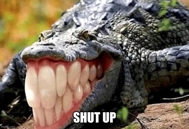alligator with human teeth | SHUT UP | image tagged in alligator with human teeth | made w/ Imgflip meme maker