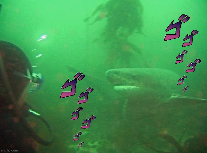 Oh, so you dare approach me | image tagged in shark,menacing | made w/ Imgflip meme maker