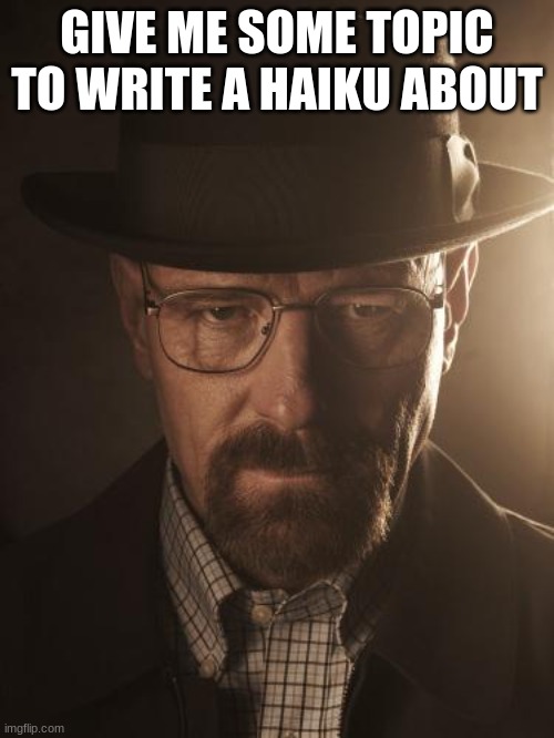 Walter White | GIVE ME SOME TOPIC TO WRITE A HAIKU ABOUT | image tagged in walter white | made w/ Imgflip meme maker