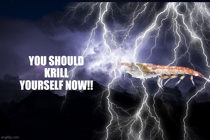 High Quality you should krill yourself NOW Blank Meme Template