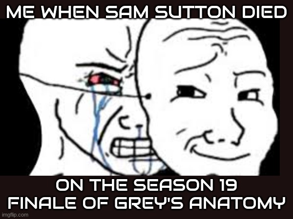NOOOO!!!!! R.I.P. | ME WHEN SAM SUTTON DIED; ON THE SEASON 19 FINALE OF GREY'S ANATOMY | image tagged in no,rip | made w/ Imgflip meme maker