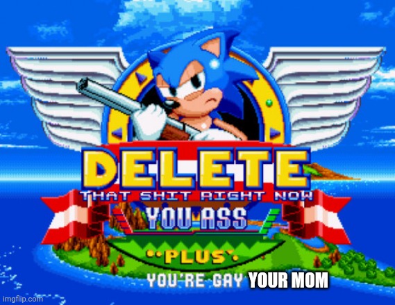 Sonic holding a shotgun to tell you to delete | YOUR MOM | image tagged in sonic holding a shotgun to tell you to delete | made w/ Imgflip meme maker