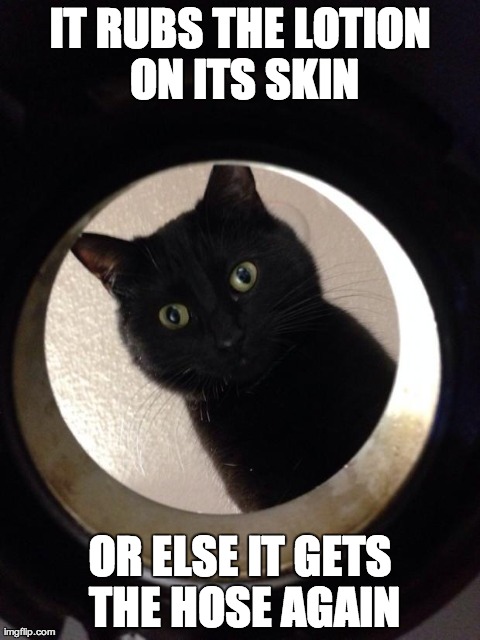 IT RUBS THE LOTION ON ITS SKIN OR ELSE IT GETS THE HOSE AGAIN | image tagged in captor cat,AdviceAnimals | made w/ Imgflip meme maker