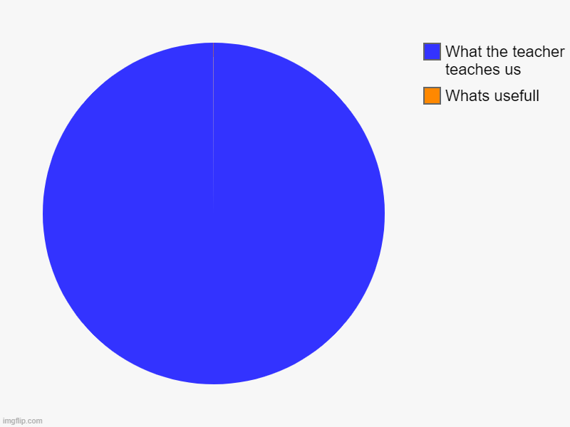 Whats usefull, What the teacher teaches us | image tagged in charts,pie charts | made w/ Imgflip chart maker