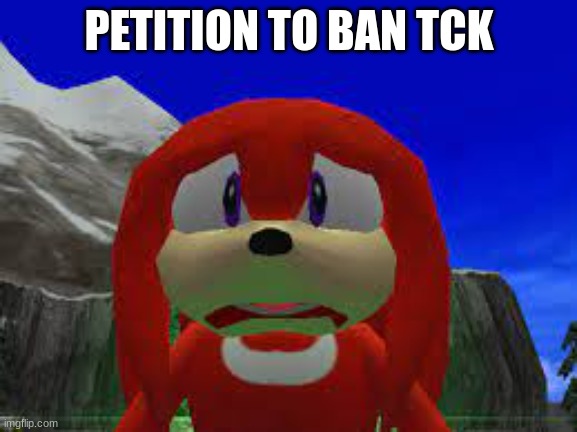 huh?! | PETITION TO BAN TCK | image tagged in huh | made w/ Imgflip meme maker