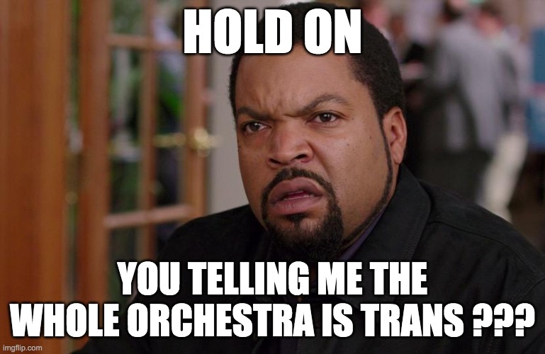 Trans Orchestra | HOLD ON; YOU TELLING ME THE WHOLE ORCHESTRA IS TRANS ??? | image tagged in nah hold on | made w/ Imgflip meme maker