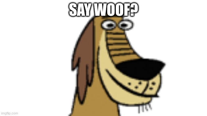 dukey | SAY WOOF? | image tagged in dukey | made w/ Imgflip meme maker