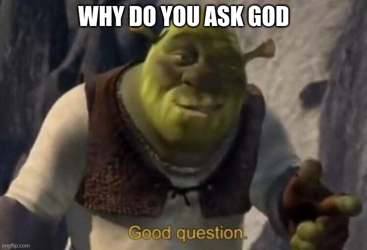 Shrek good question | WHY DO YOU ASK GOD | image tagged in shrek good question | made w/ Imgflip meme maker