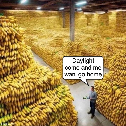 Daylight come and me wan' go home | image tagged in bananas | made w/ Imgflip meme maker