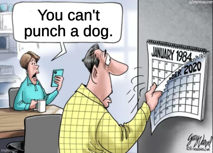 ay | You can't punch a dog. | image tagged in 1984 calendar,ay,ay3 | made w/ Imgflip meme maker