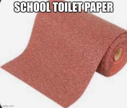 world most normal school toilet paper | SCHOOL TOILET PAPER | image tagged in world most normal school toilet paper | made w/ Imgflip meme maker