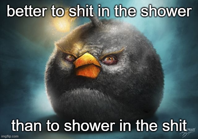 idek | better to shit in the shower; than to shower in the shit | image tagged in angry birds bomb | made w/ Imgflip meme maker