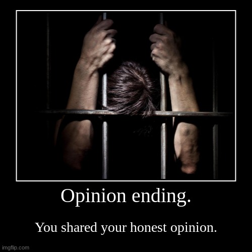 Opinion ending. | You shared your honest opinion. | image tagged in funny,demotivationals,shitpost,drake hotline bling,mariah carey all i want for christmas is you,waiting skeleton | made w/ Imgflip demotivational maker