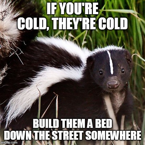skunk | IF YOU'RE COLD, THEY'RE COLD; BUILD THEM A BED DOWN THE STREET SOMEWHERE | image tagged in skunk | made w/ Imgflip meme maker