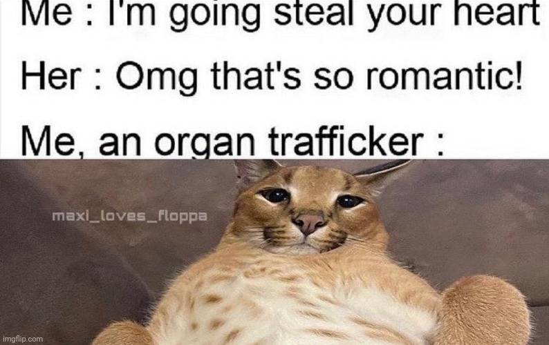 But why, why would you do that? | image tagged in organ,stealing | made w/ Imgflip meme maker