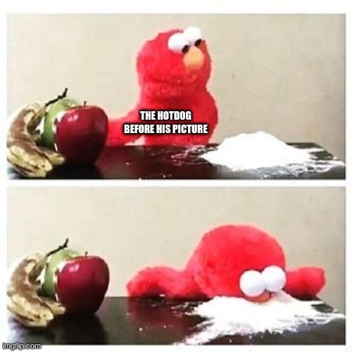 elmo cocaine | THE HOTDOG BEFORE HIS PICTURE | image tagged in elmo cocaine | made w/ Imgflip meme maker