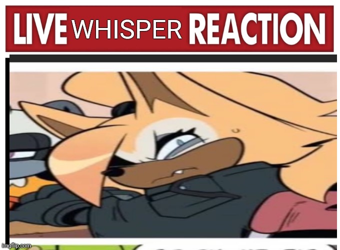 Live reaction | WHISPER | image tagged in live reaction | made w/ Imgflip meme maker