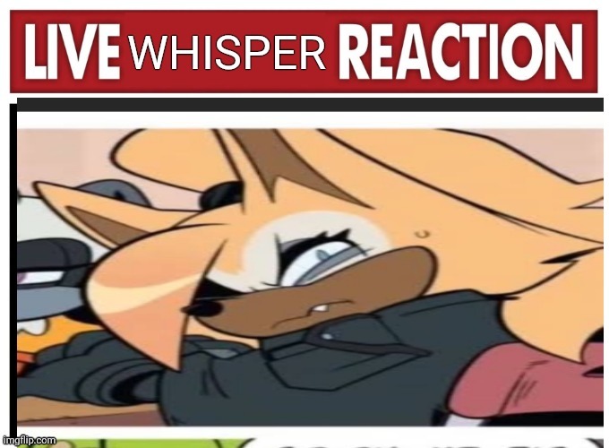 Live Whisper reaction | image tagged in live whisper reaction | made w/ Imgflip meme maker