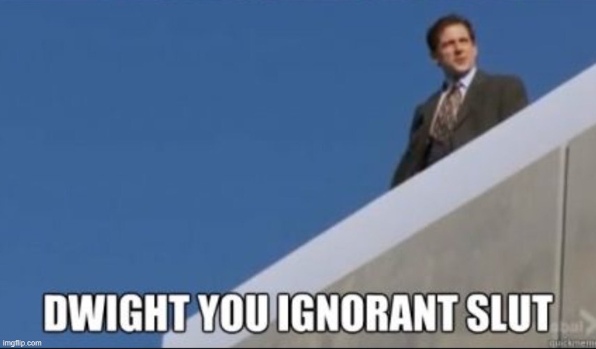 Dwight you Ignorant Slut | image tagged in dwight you ignorant slut | made w/ Imgflip meme maker