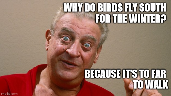 Bird Joke | WHY DO BIRDS FLY SOUTH 
FOR THE WINTER? BECAUSE IT'S TO FAR 
TO WALK | image tagged in rodney dangerfield,funny memes | made w/ Imgflip meme maker
