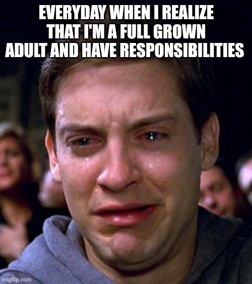 i hate this | EVERYDAY WHEN I REALIZE THAT I'M A FULL GROWN ADULT AND HAVE RESPONSIBILITIES | image tagged in crying peter parker,adulthood | made w/ Imgflip meme maker