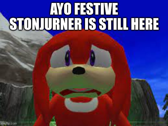 huh?! | AYO FESTIVE STONJURNER IS STILL HERE | image tagged in huh | made w/ Imgflip meme maker