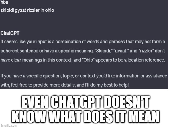 GEN ALPHA in a nutshell | EVEN CHATGPT DOESN'T KNOW WHAT DOES IT MEAN | image tagged in memes | made w/ Imgflip meme maker