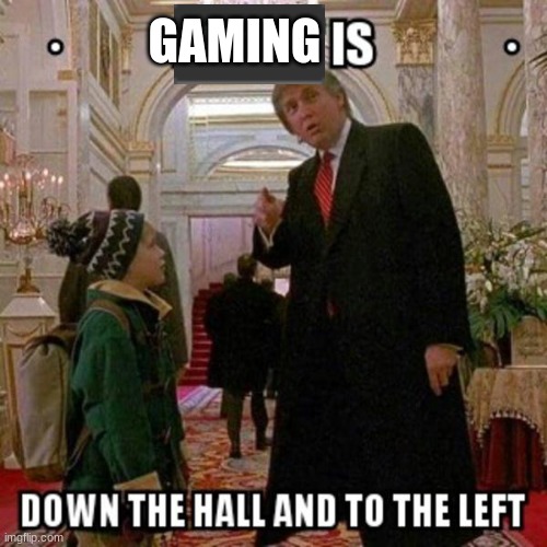 Fun Stream is Down the Hall to the Left | GAMING | image tagged in fun stream is down the hall to the left | made w/ Imgflip meme maker