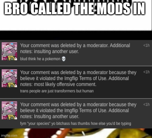 L mods | BRO CALLED THE MODS IN | image tagged in fnaf chica boobs | made w/ Imgflip meme maker