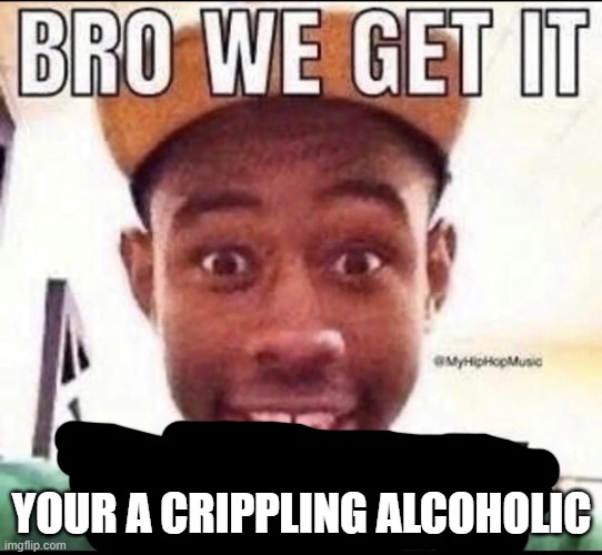 BRO WE GET IT YOU'RE GAY | YOUR A CRIPPLING ALCOHOLIC | image tagged in bro we get it you're gay | made w/ Imgflip meme maker