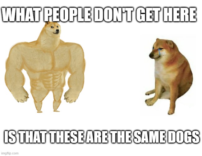 Buff Doge vs. Cheems | WHAT PEOPLE DON'T GET HERE; IS THAT THESE ARE THE SAME DOGS | image tagged in memes,buff doge vs cheems,same | made w/ Imgflip meme maker